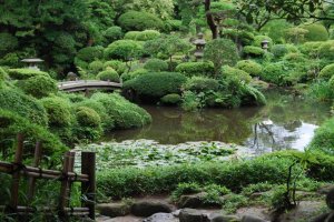 The beautifully landscaped garden of the Honma's Seienkaku Residence