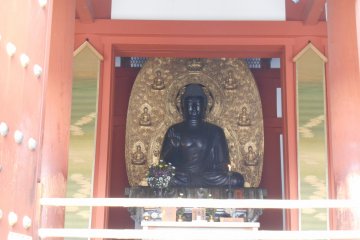 <p>The Buddha of Yakushi-ji</p>
