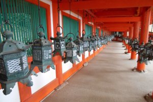 The bronze lanterns of Kasuga Taisha