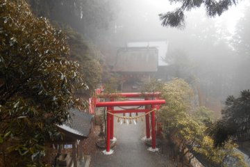 <p>View on the Tamaki Shrine buildings &nbsp;</p>