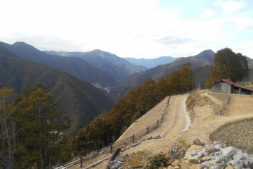 <p>Kumano Kodo Pilgrimage Route</p>