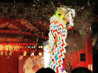 The lion dance climaxed with a loud bang!