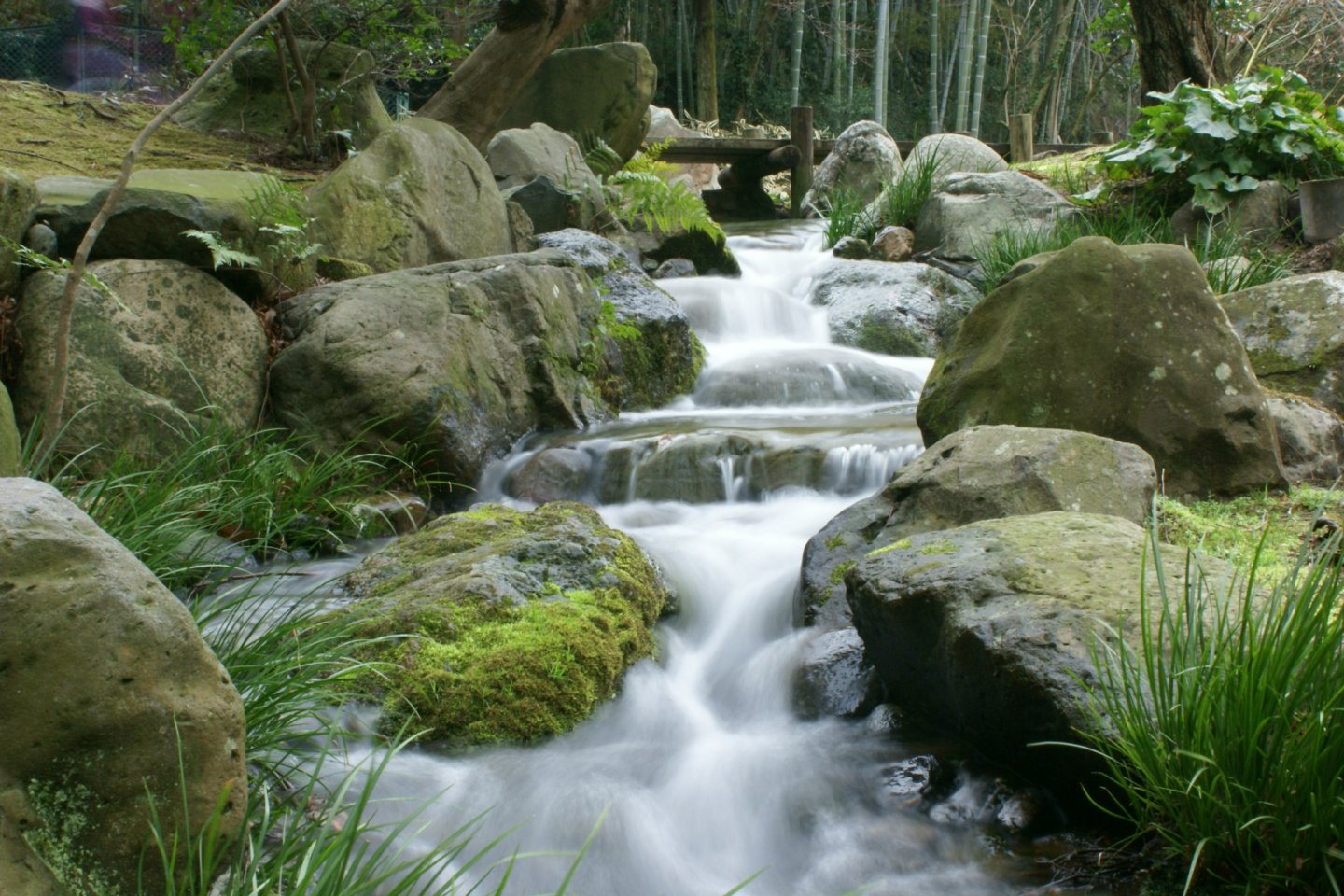 A cascading stream in the upper part of the Chofu Teien