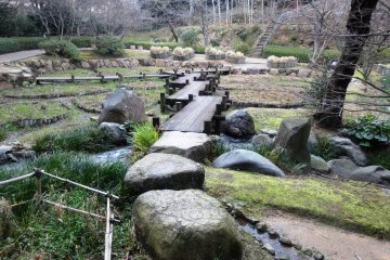 <p>This area looks to be primed for irises in the early summer</p>
