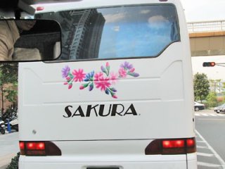 Такое впечатление, что цветы сакуры присутствуют везде вокруг нас, когда мы проезжаем по улицам Токио - даже на окружающих автомобилях и автобусах.