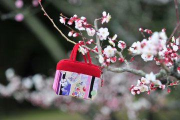 <p>Cute lost property hanging from a plum tree branch</p>