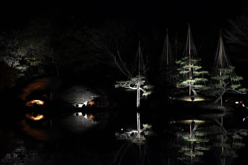 <p>Symmetrical reflection on the pond</p>