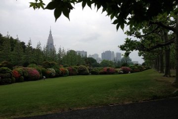 Shinjuku Skyline from&nbsp;Shinjuku Gyoen National Garden