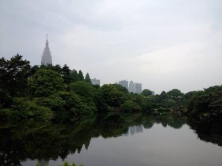 Shinjuku Skyline from Shinjuku Gyoen National Garden