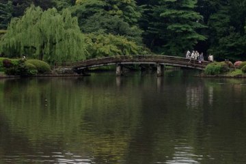 <p>Национальный парк Синдзюку Гиоэн, красивый пруд</p>