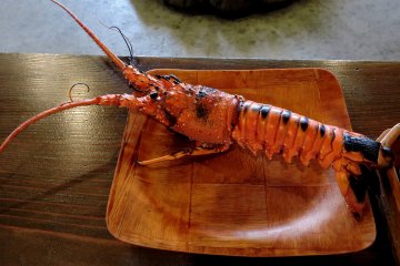 <p>Delicious spiny lobster</p>