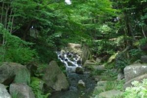 One of the waterfalls in Tokugawa-en