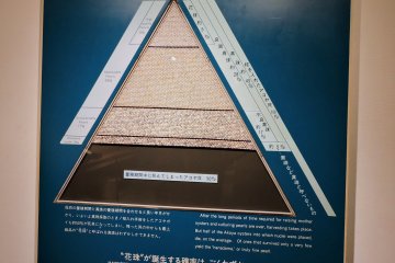 이 퀄리티 피라미드는 최고급 품질과 팔 수 있는 진주를 위에, 밑에는 반려되는 진주로 구분지어 놓았다.