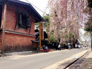 ถนนไม่ค่อยมีรถวิ่งในเมืองเก่าของคะคุโนะดะเตะ เป็นสถานที่ที่ดีสำหรับการเดินในฤดูใบไม้ผลิ