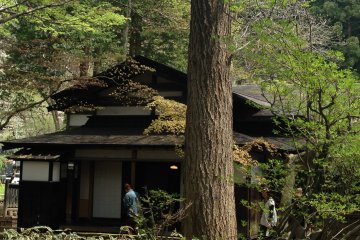 <p>Charming tea houses and grand century old trees make a picturesque scene.</p>