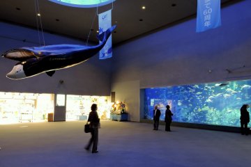 <p>A scale model of a whale is suspended over the entrance area</p>
