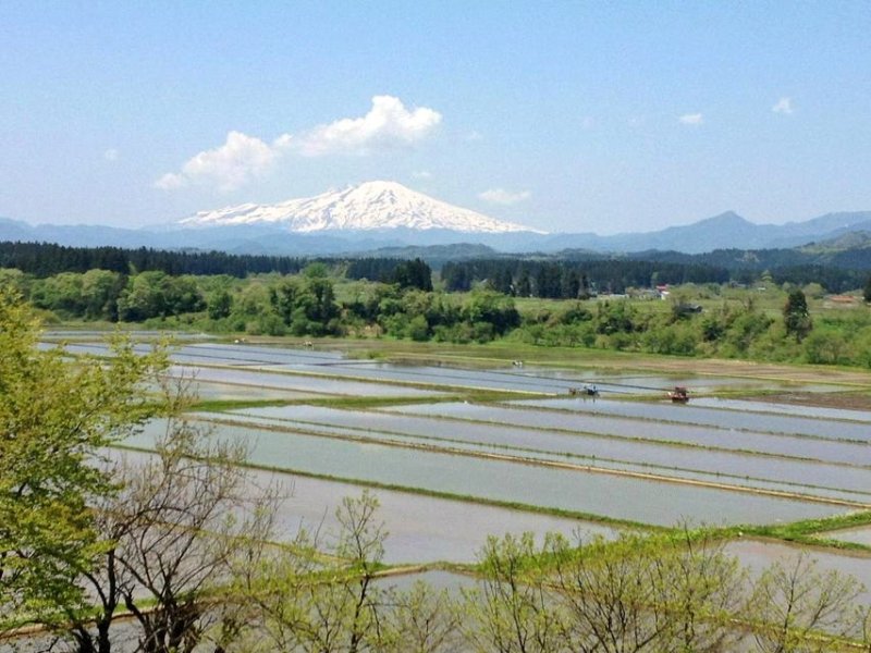 <p>Mount Chokai is Yamagata&#39;s tallest mountain. Here, the rice fields have been flooded in preparation for planting, whilst all around the countryside comes back to life after the winter.</p>