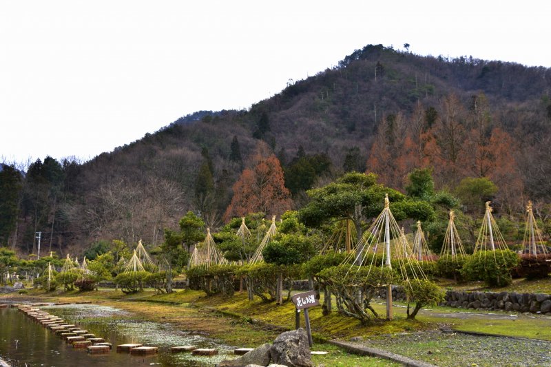 <p>Sad scenery of Ajimano-en Park in mid March waiting for spring</p>