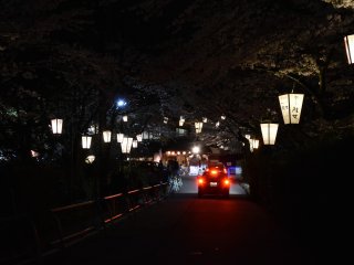 提灯が掲げられた足羽神社参道。この夜、神社のある足羽山全体でさくら祭りが開催されていた。