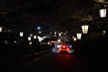 <p>This pathway to Asuwa Shrine was lit by paper lanterns on each side. The whole Mount Asuwa was celebrating the cherry blossom festival on this night.</p>