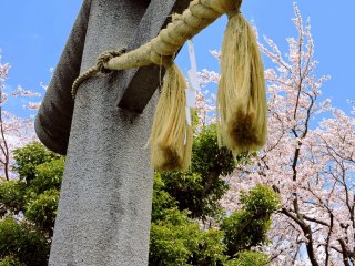 Tasseled rope hanging from the torii of Sugiyama Shrine