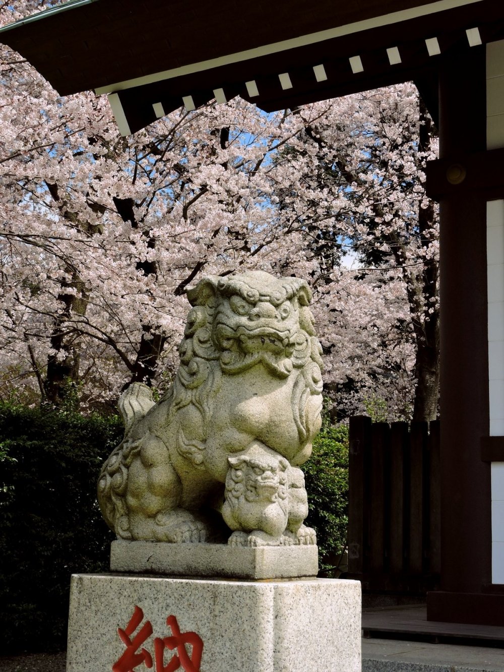 Sư tử canh gác ở đền Sugiyama 