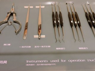 Tools for oyster &#39;surgery&#39;