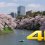 Cherry Blossom near Tokyo Imperial Palace