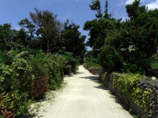 Một con đường đặc trưng của làng Taketomi