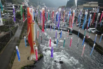 ริ้วประดับรูปปลาคาร์ฟที่ Tsuetate Onsen