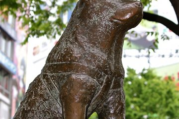 The first bronze statue of&nbsp;Hachiko&nbsp;was erected at Shibuya Station (Hachiko&nbsp;Exit) and first unveiled in April 1934, then replaced August 1948.
