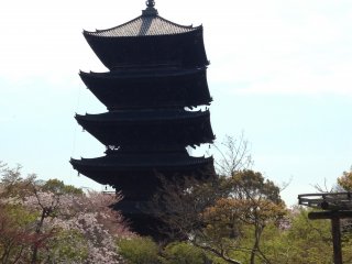 Пятиэтажная пагода храма Тодзи - один из символов Киото, он виден издалека