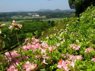 จากด้านบนของสวนคุณสามารถชมทัศนียภาพที่สวยงามของภูมิภาคคุมะโมะโตะ