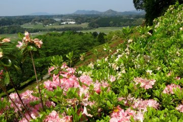 공원 꼭대기에서 구마모토현의 아름다운 경치를 감상할 수 있다