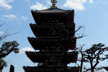 <p>Пагода - это буддийское сооружение культового характера</p>