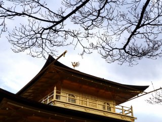 킨카쿠지를 더 화려하게 장식하는 지붕 위의 봉황새
