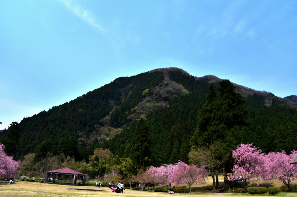 This is the &#39;Takekurabe Park&#39; in Takeda, Fukui. Takekurabe literally means comparing statures, but the name comes from the mountain nearby that has a same name.