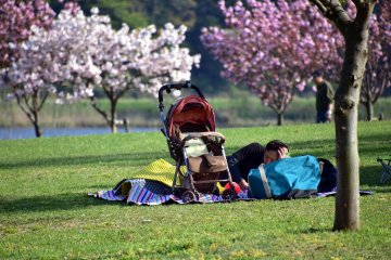 가족이 다른 곳에서 놀고 있는 동안 잔디에서 낮잠을 자는 아버지. 휴일을 보내는 좋은 방법?