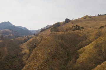 <p>Mountainsides carpeted in grasses</p>