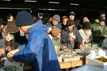 The race to buy your container of oysters during the featival