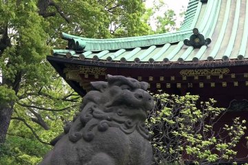 Nezu Shrine–Return to Ancient Days
