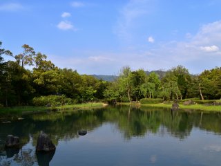 아름다운 조경과 몇몇 정원과 녹색 주택이 있는 식물원 지역의 큰 연못