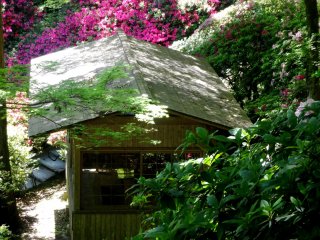 One of the garden&#39;s tea houses is surrounded by azaleas