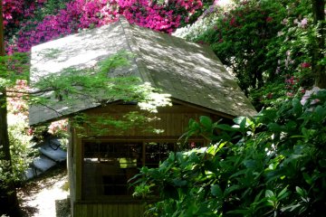 <p>One of the garden&#39;s tea houses is surrounded by azaleas</p>