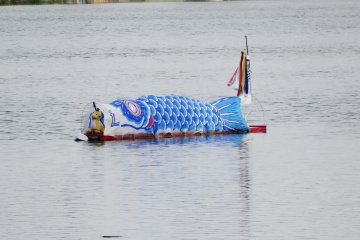 <p>Один одинокий флаг сидит на реке ниже по течению.

&nbsp;</p>
