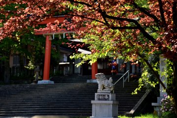 The entrance of Fujishima Shrine in the late afternoon