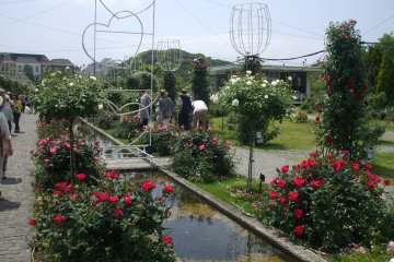 <p>There is a flower shop that sells flowers displayed in the garden.</p>