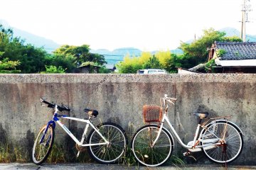 Two cycles in teshima