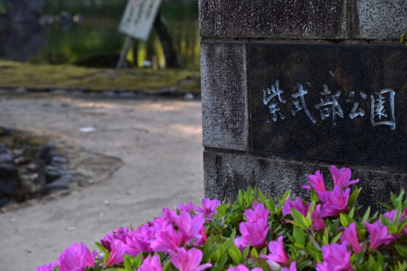 ทางเข้าสวนมุระสะกิ ชิคิบุ ด้านข้าง ตกแต่งด้วยอะเซลเลียสีชมพู