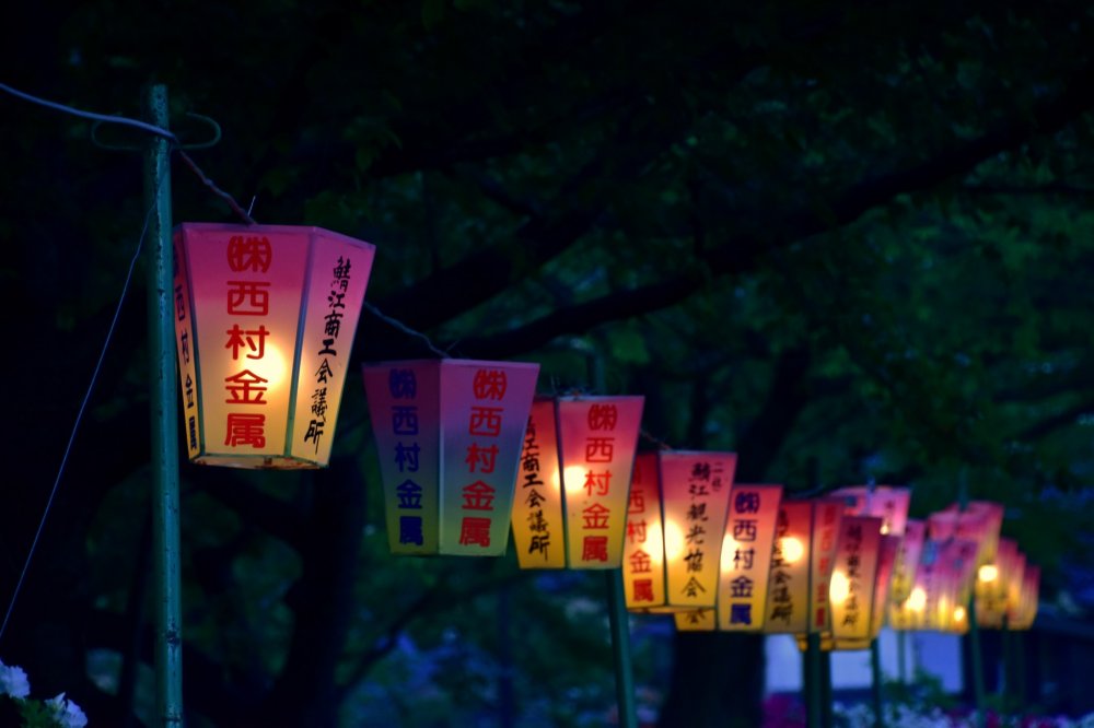 A row of lit-up lanterns donated by local businesses in the park